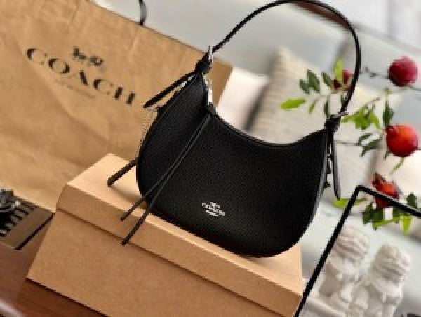 Coach kleo hobo bag in signature canvas bag with box