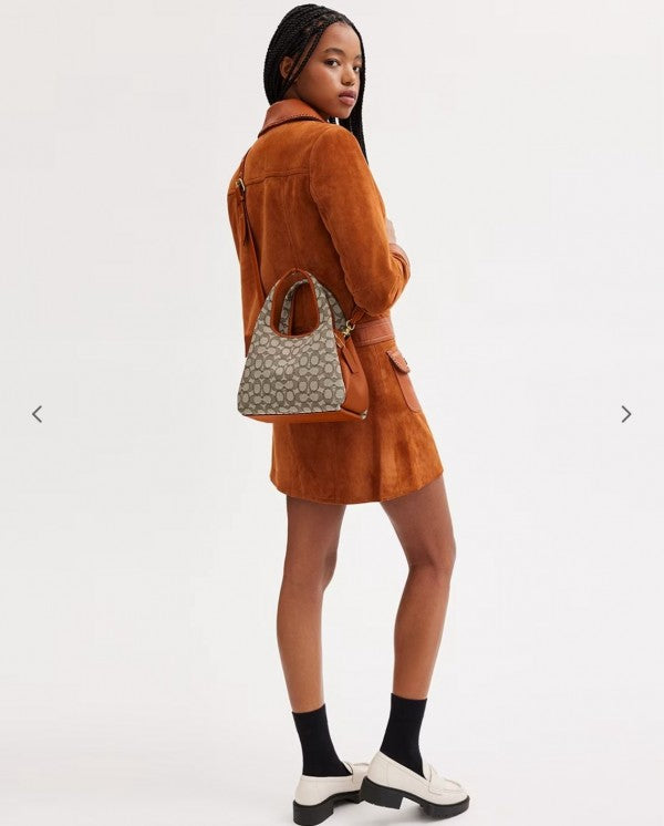 Coaach lana hobo sling bag premium quality with box