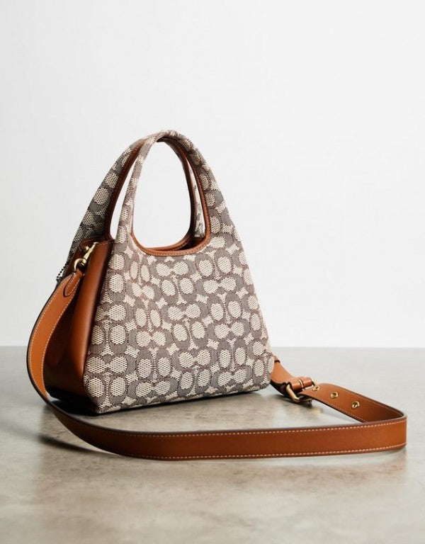 Coaach lana hobo sling bag premium quality with box