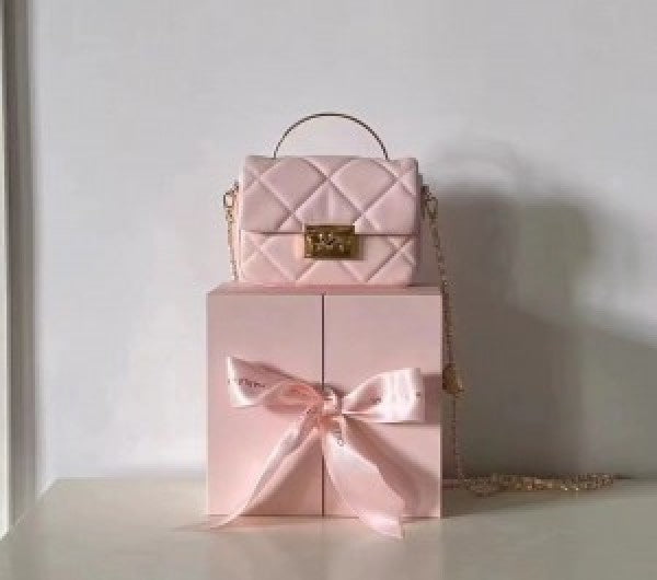 CHARLES & KEITH HOBO BAG WITH OG BOX (PINK)