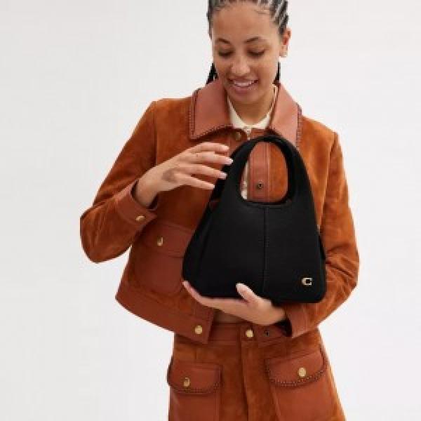 Coaach lana hobo sling bag premium quality with box