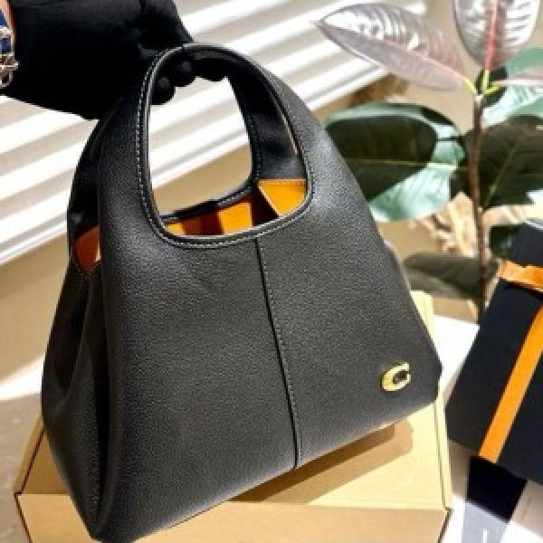 Coach lana hobo sling bag premium quality with box