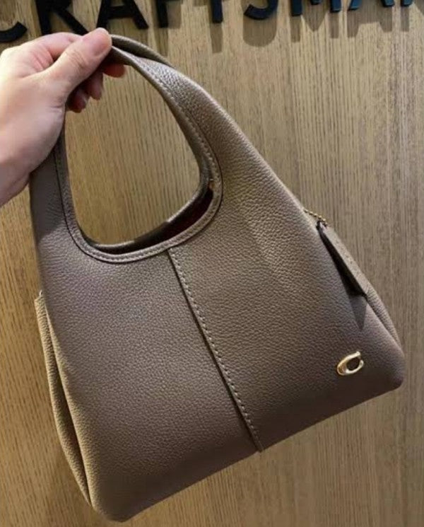 Coaach lana hobo sling bag premium quality with box