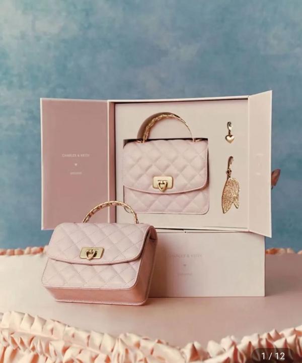 CHARLES & KEITH HOBO BAG WITH OG BOX