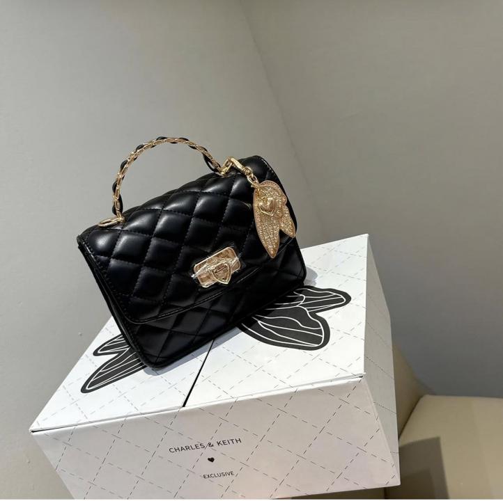 CHARLLES & KEITH HOBO BAG WITH OG BOX