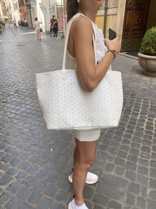 Goyarrd Artios GM With Wallet & Dustcover