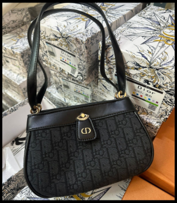 CHRISTIAN DIOR KEY OBLIQUE SMALL BAG WITH OG BOX