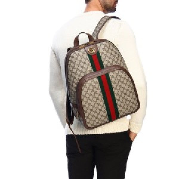 Gucci backpack premium quality with dust cover