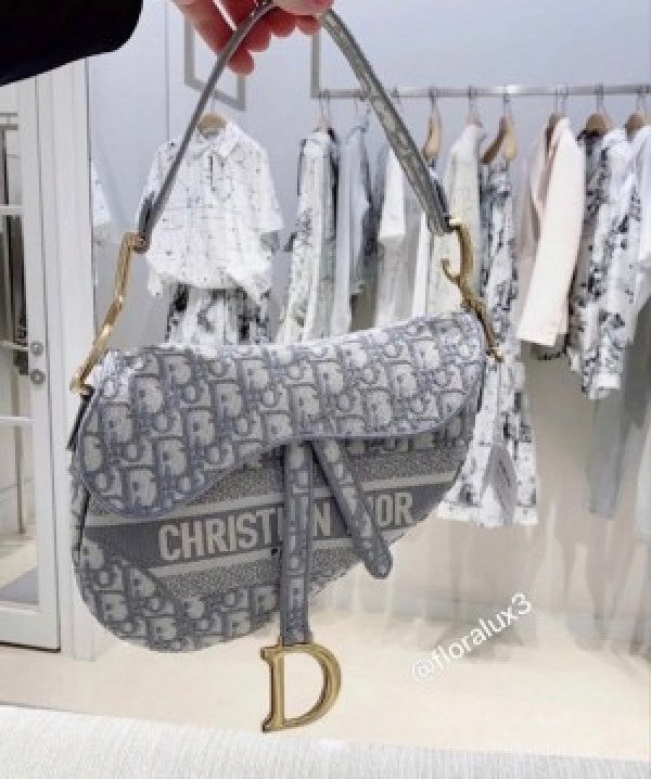 Christian Dior SADDLE WITH OG BOX