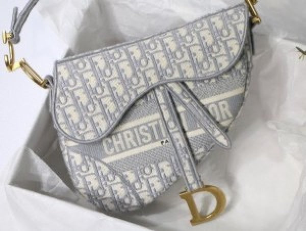 Christian Dior SADDLE WITH OG BOX