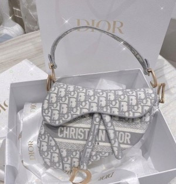 Christian Dior SADDLE WITH OG BOX