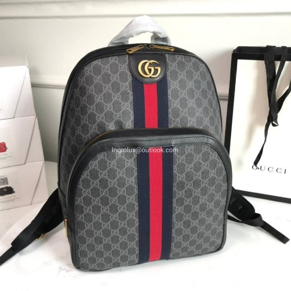 Gucci backpack premium quality with dust cover