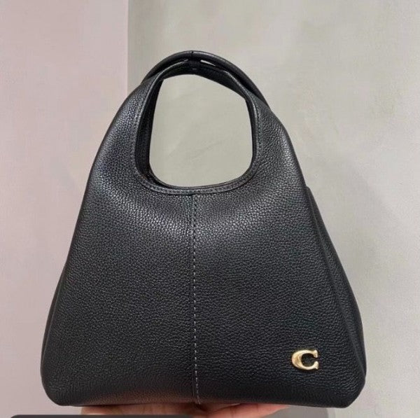 Coach lana hobo sling bag premium quality with box