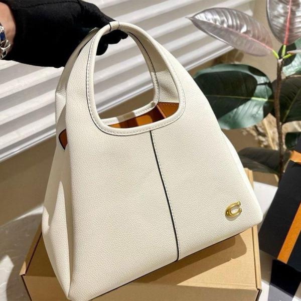 Coaach lana hobo sling bag premium quality with box