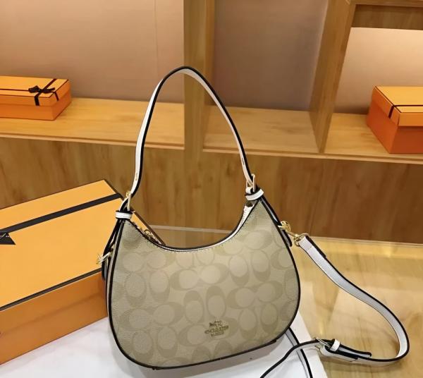 Coach kleo hobo bag in signature canvas bag with box