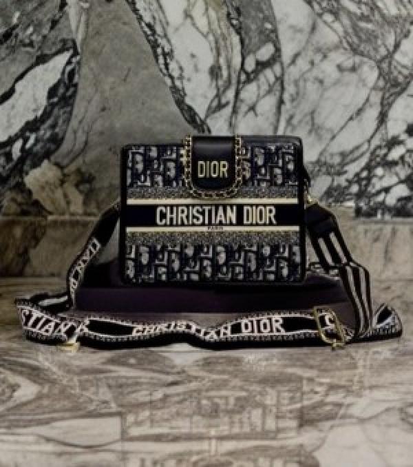 Christian dior camps lingbag with ogbox dustbag scarf etc
