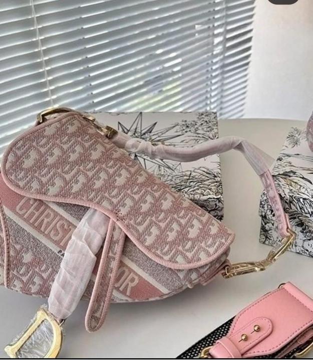 Christian Dior SADDLE WITH OG BOX