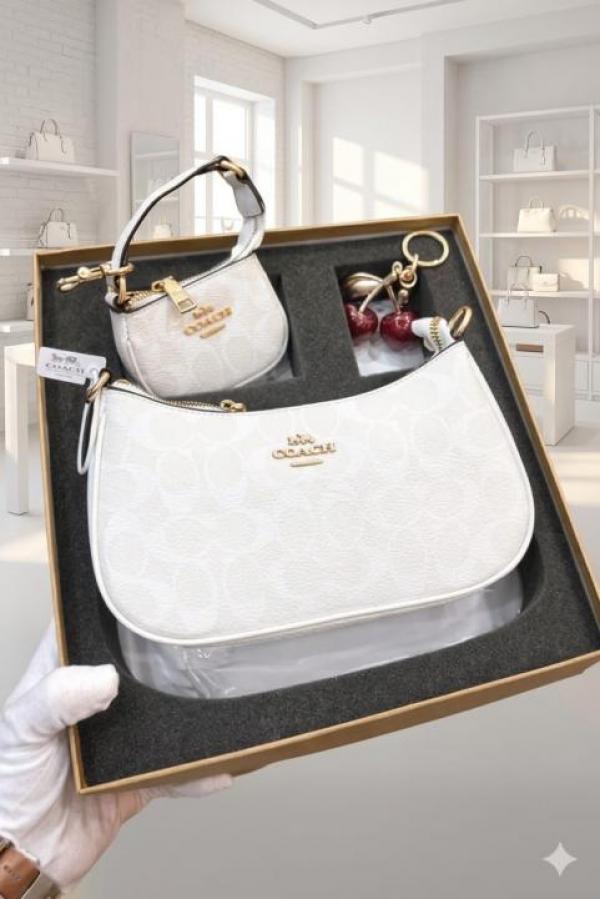 Coachh Teri Combo Set With Box Dust bag With Box premium quality