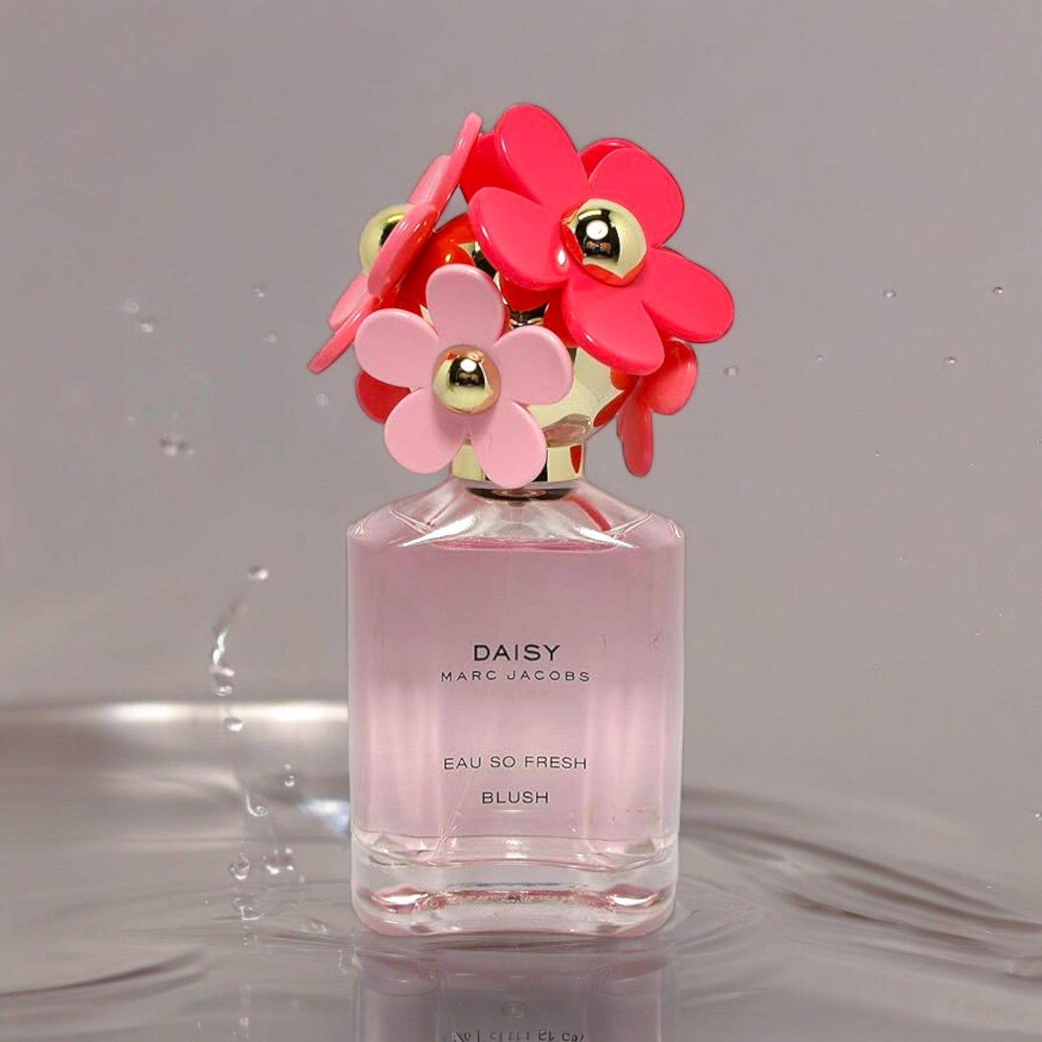 Mark Jakc Daisy | Eau So Spring