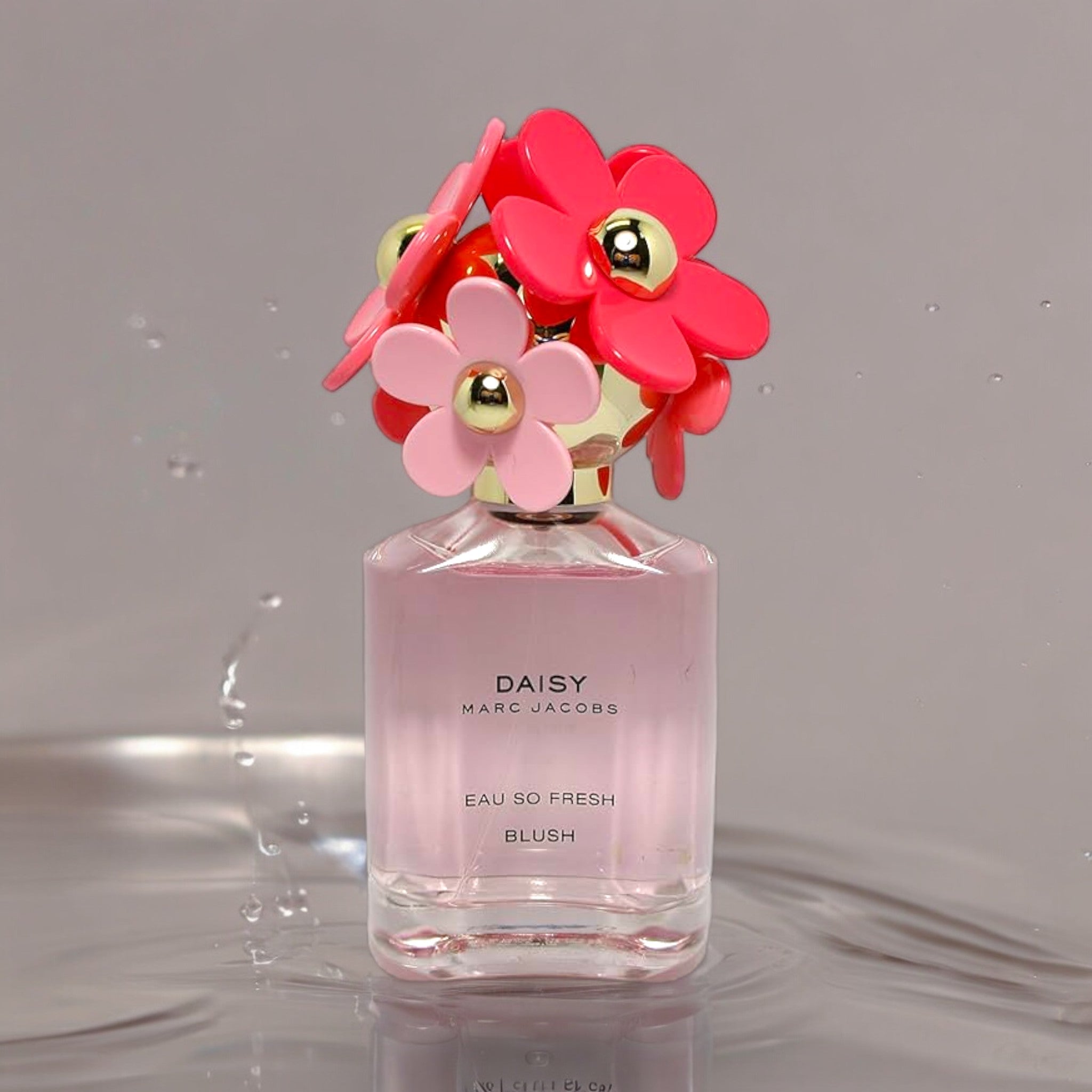 Mark Jakc Daisy | Eau So Spring