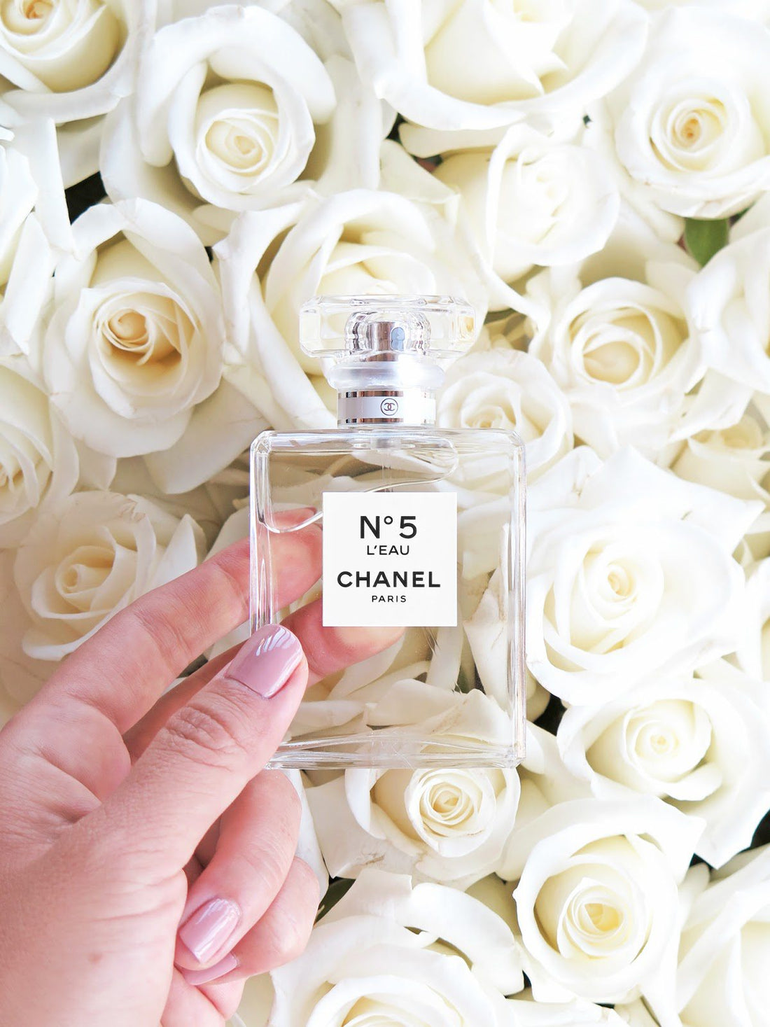 Chanel N°5 L&