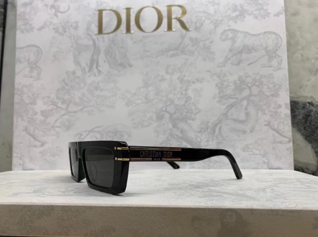 Dior DSGTS2UXR Sunglasses