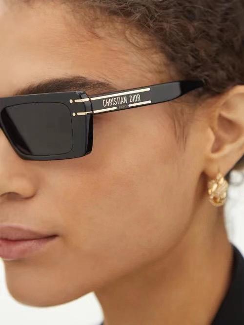 Dior DSGTS2UXR Sunglasses