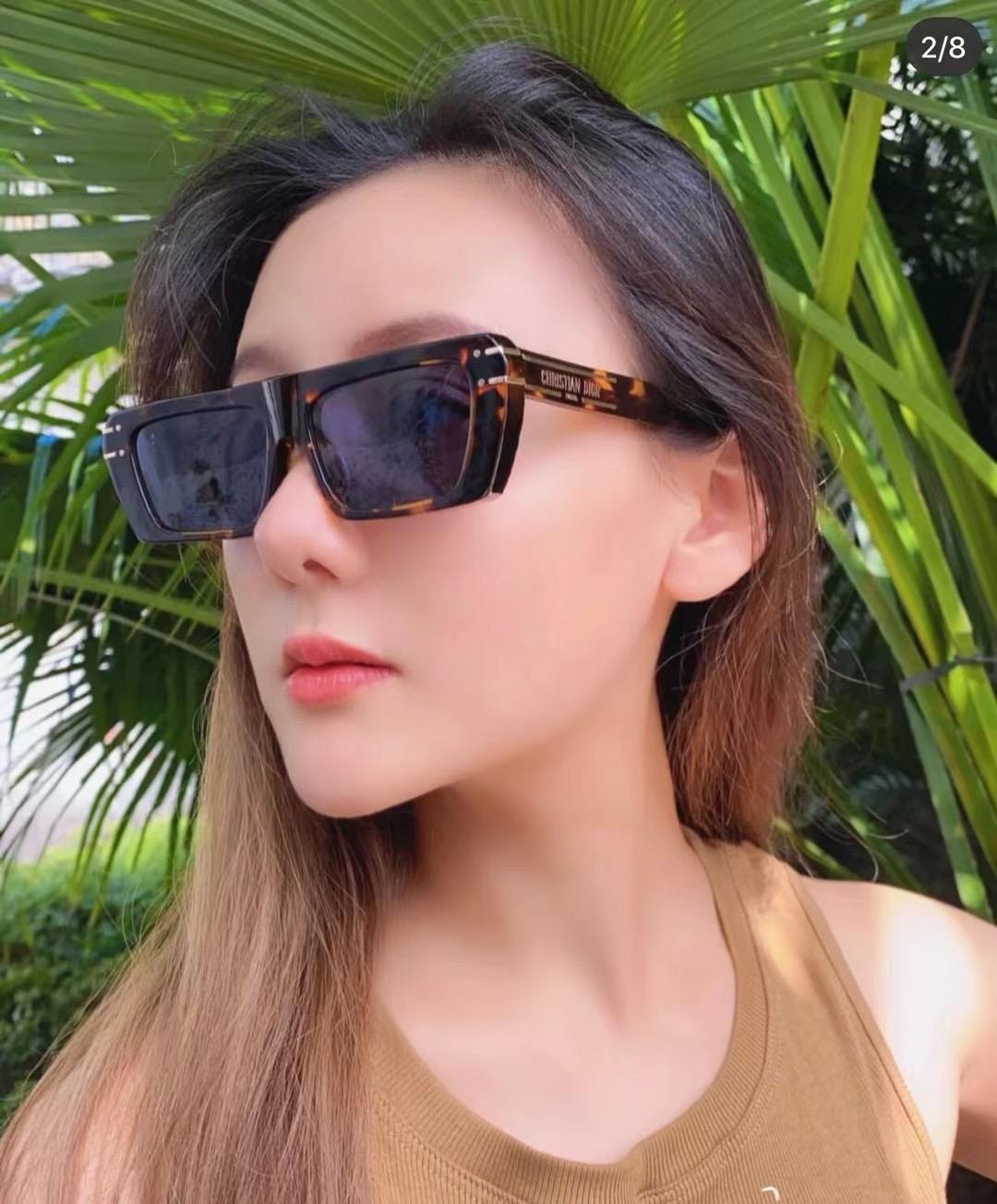 Dior DSGTS2UXR Sunglasses