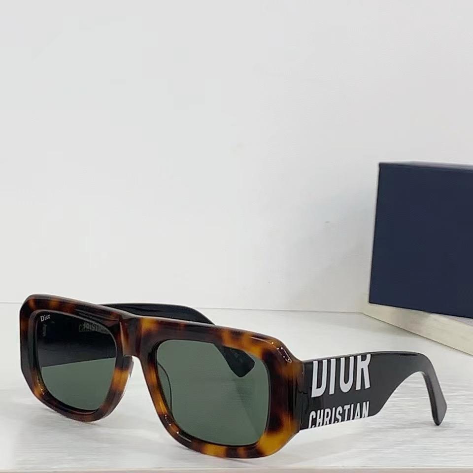 Dior DSGTA7UCR Sunglasses