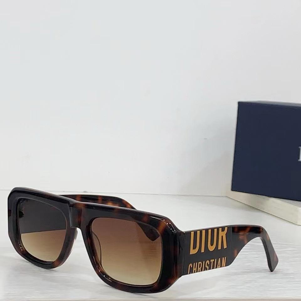 Dior DSGTA7UCR Sunglasses