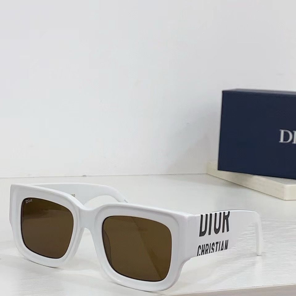 Dior DSGTA8UCR Sunglasses