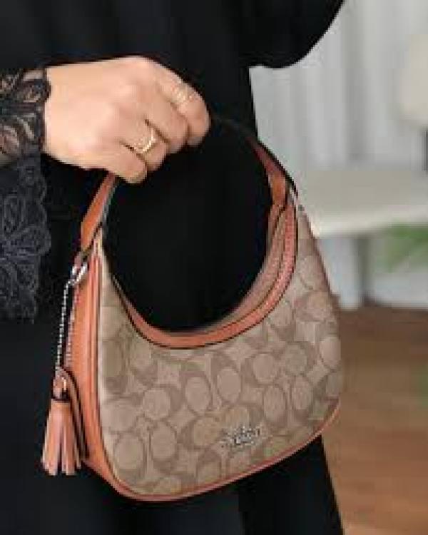 Coachh Mini Crossbody bag With OG Box &amp; Dust Bag