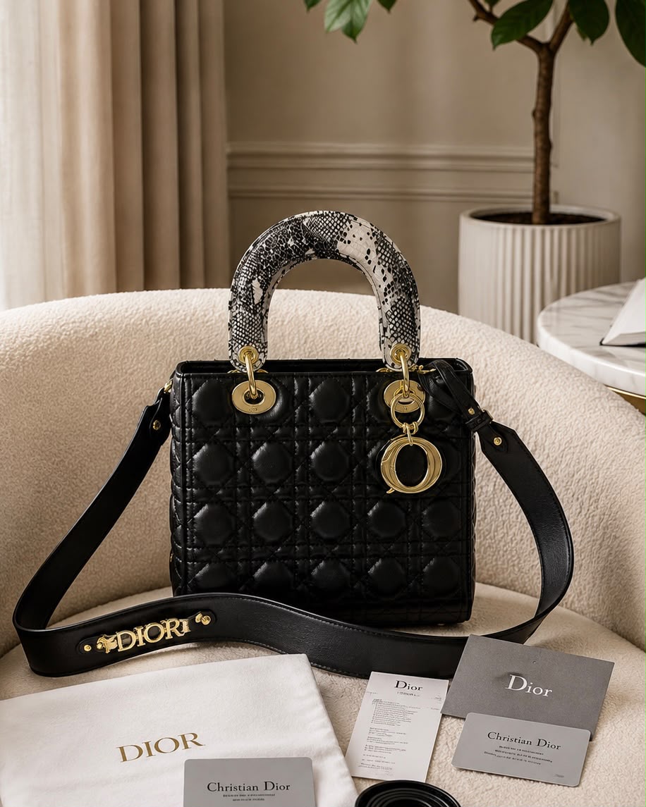 CHRISTIIAN DIORR LADY BAG WITH PREMIUM QUALITY BOX