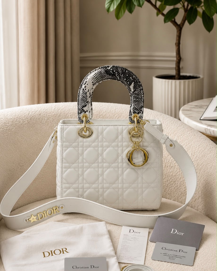 CHRISTIIAN DIORR LADY BAG WITH PREMIUM QUALITY BOX