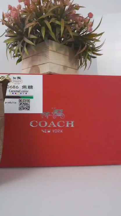 Coach messico signature sling bag premium quality with box