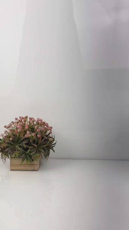 Coach lana hobo sling bag premium quality with box